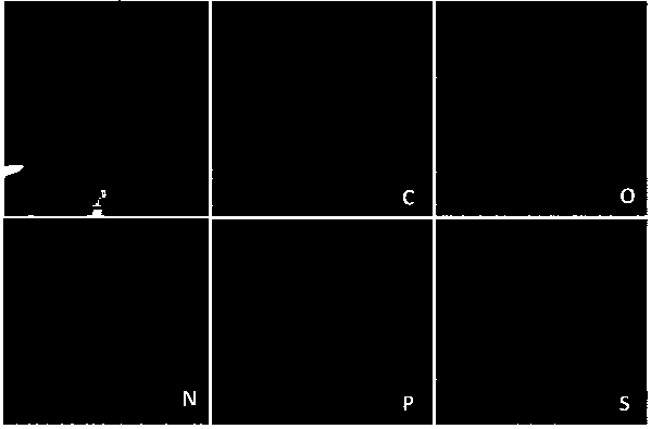 Multi-heteroatom codoped hollow porous carbon material, preparation method and application thereof