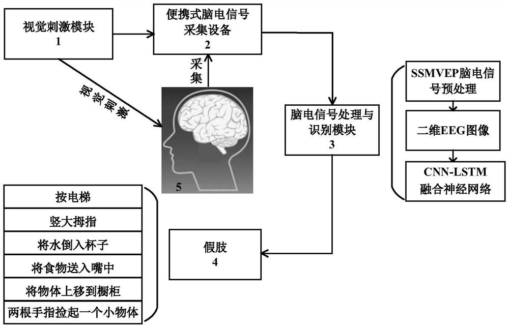 Idiodynamic artificial limb system based on brain-computer hybrid intelligence