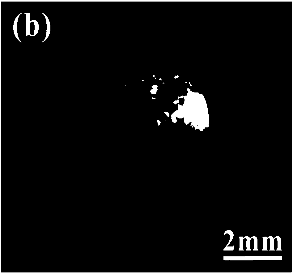 Solidification preparation method for aluminum oxide-based ternary nanometer eutectic/amorphous ceramic