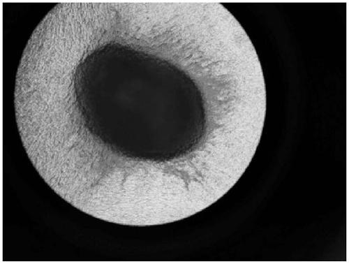 Induction system capable of efficiently promoting chondrogenic differentiation of mesenchymal stem cells and method