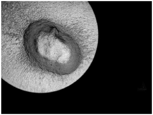 Induction system capable of efficiently promoting chondrogenic differentiation of mesenchymal stem cells and method