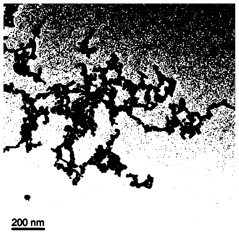 Method for preparing functional magnetic nano composite material