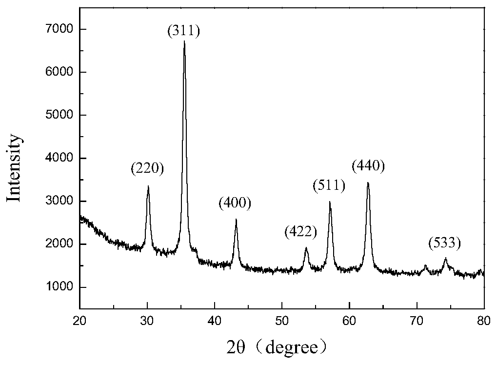 Method for preparing functional magnetic nano composite material