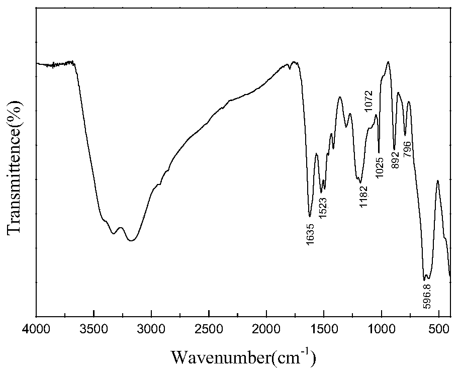 Method for preparing functional magnetic nano composite material