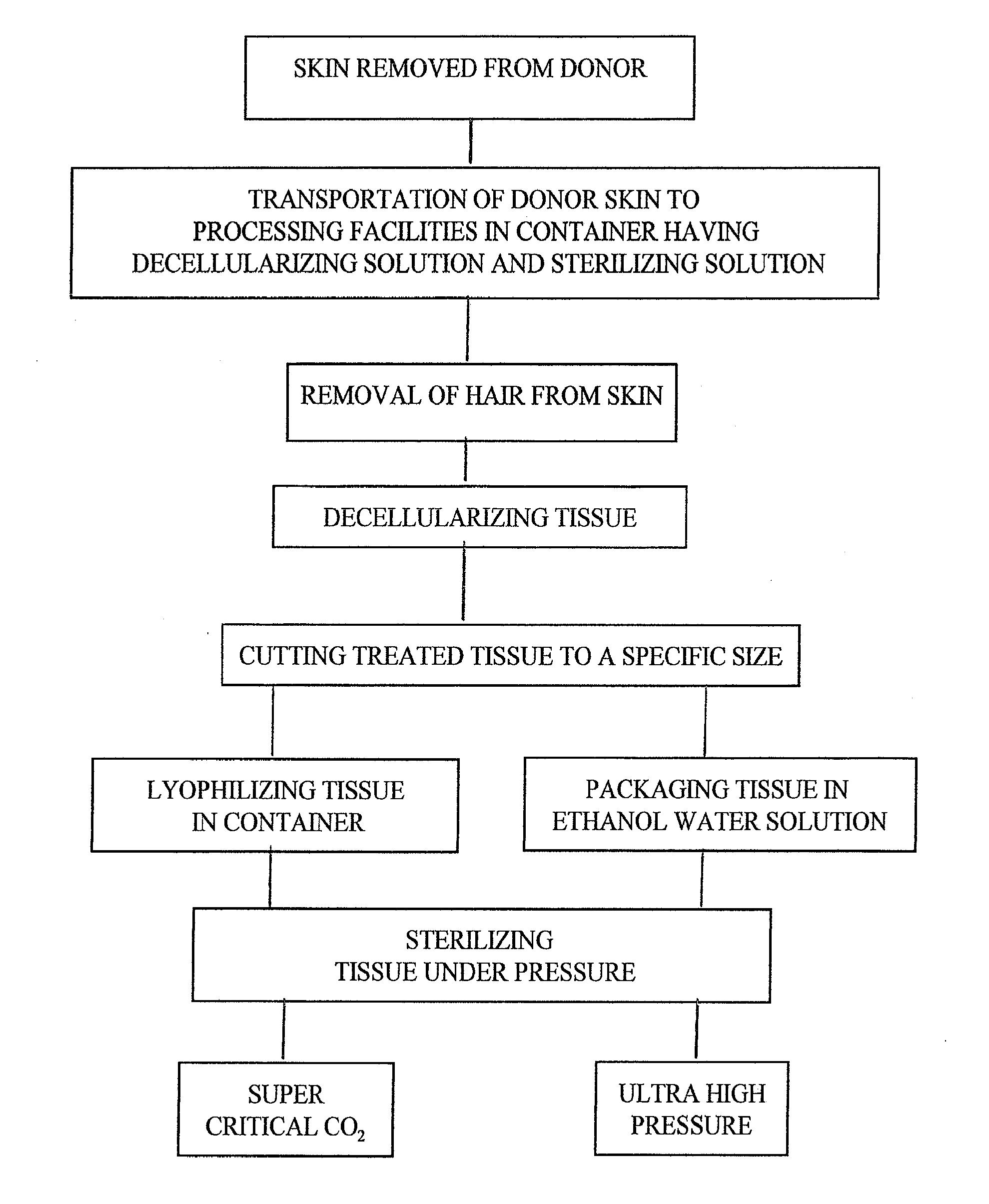 Process for sterilizing acellular soft tissue under pressure