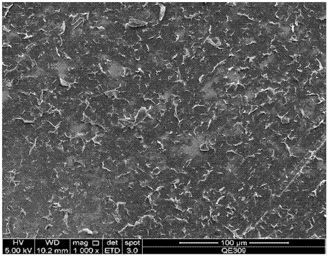 Current collector and preparation method thereof