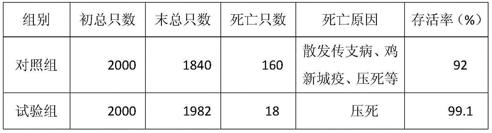 Traditional Chinese medicine composition for antibiotic-free breeding of free-range chickens