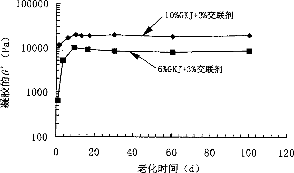 High-temperature and High-Salt resisting gel water packing-off method