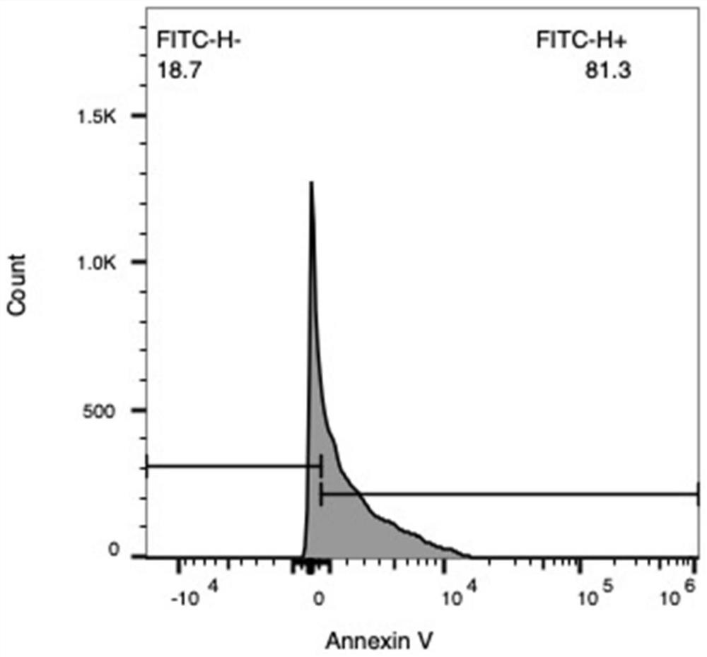 Application of mesenchymal stem cell apoptotic body to preparation of medicine for treating bone defects