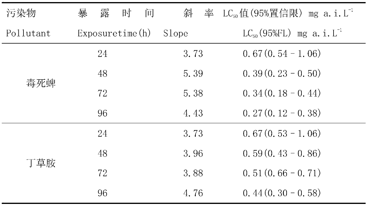 Method for testing combined pollution toxicity of chlorpyrifos and butachlor