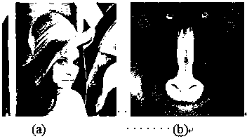 Digital image blind watermarking method based on two-dimensional discrete cosine transform