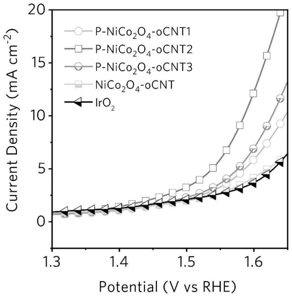 Phosphorus-modified nickel cobaltate-modified carbon nanotube electrode catalyst