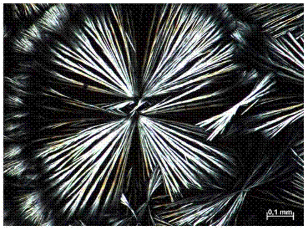 Water-soluble nano silver preparation method based on waste keratin degradation products