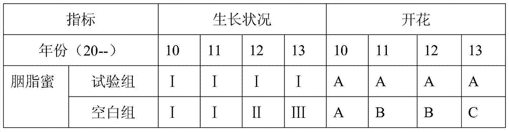 A kind of method of cultivating evergreen Rhododendron in alkaline soil area