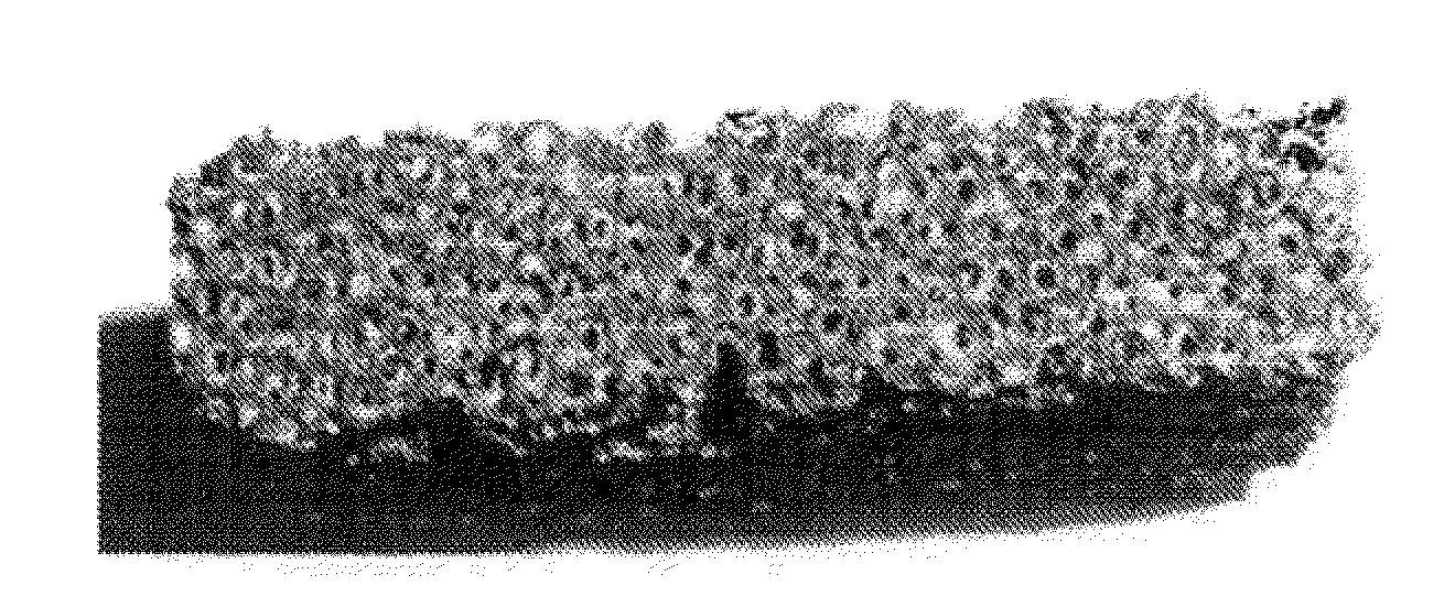 Open pore ceramic matrix coated with metal or metal alloys and methods of making same