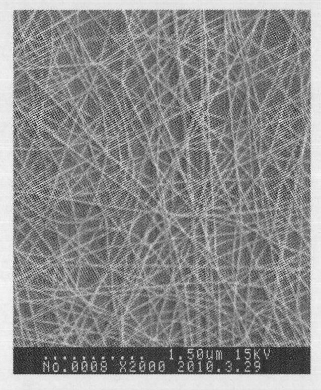 Nanofiber membrane carrying anti-tumor photosensitizer and preparation method thereof