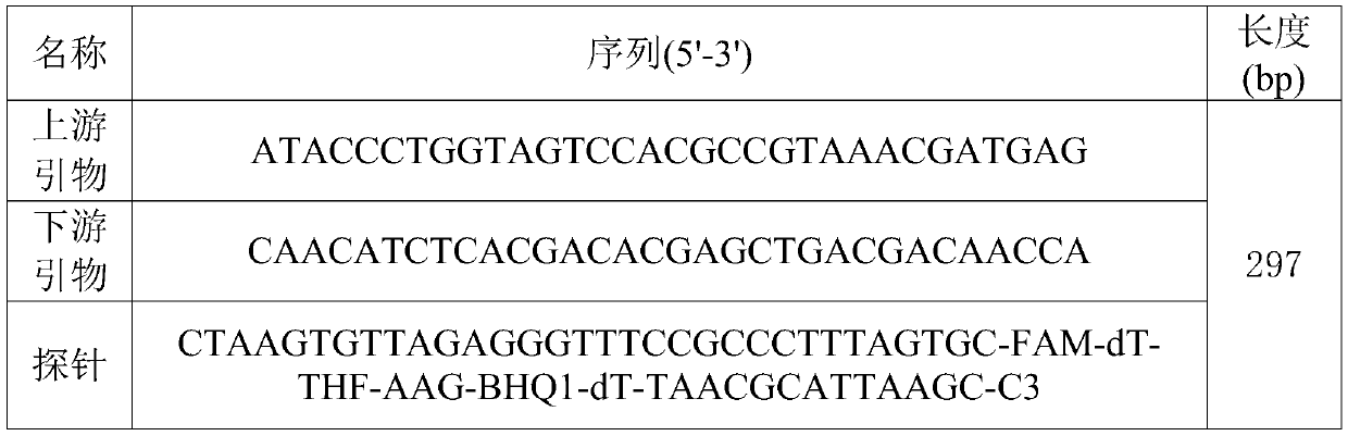 Detection kit, detection method and application for bacillus cereus