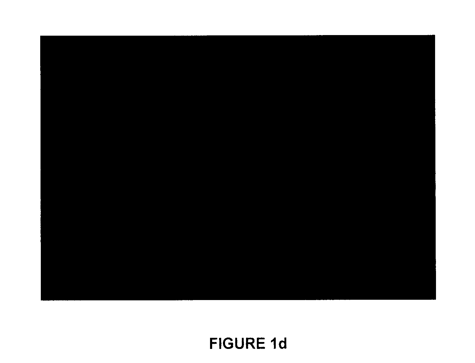 Composition for enhancing bone formation