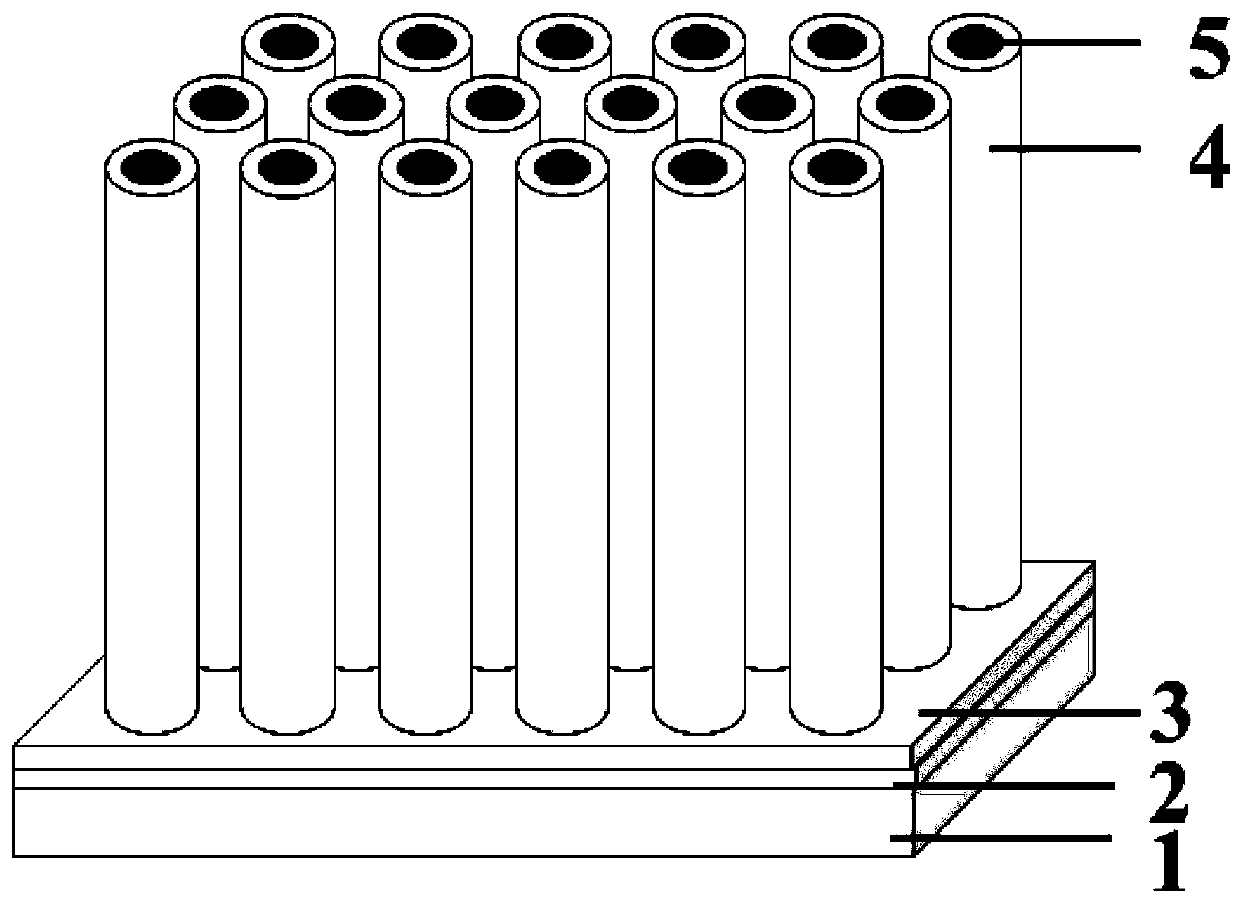 TiO2 nanowire array with multi-level structure and preparation method thereof