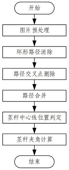 Corn plant type identification method, device, electronic device and storage medium