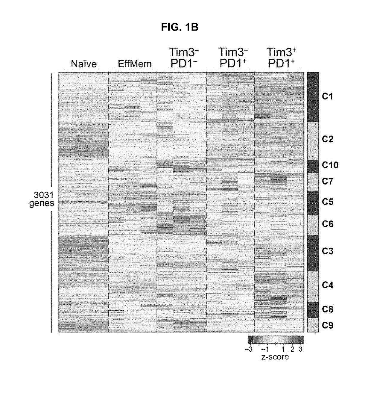 Compositions and methods for evaluating and modulating immune responses by use of immune cell gene signatures