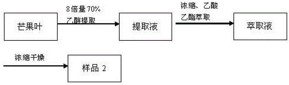 Mango leaf extract, its preparation method and use