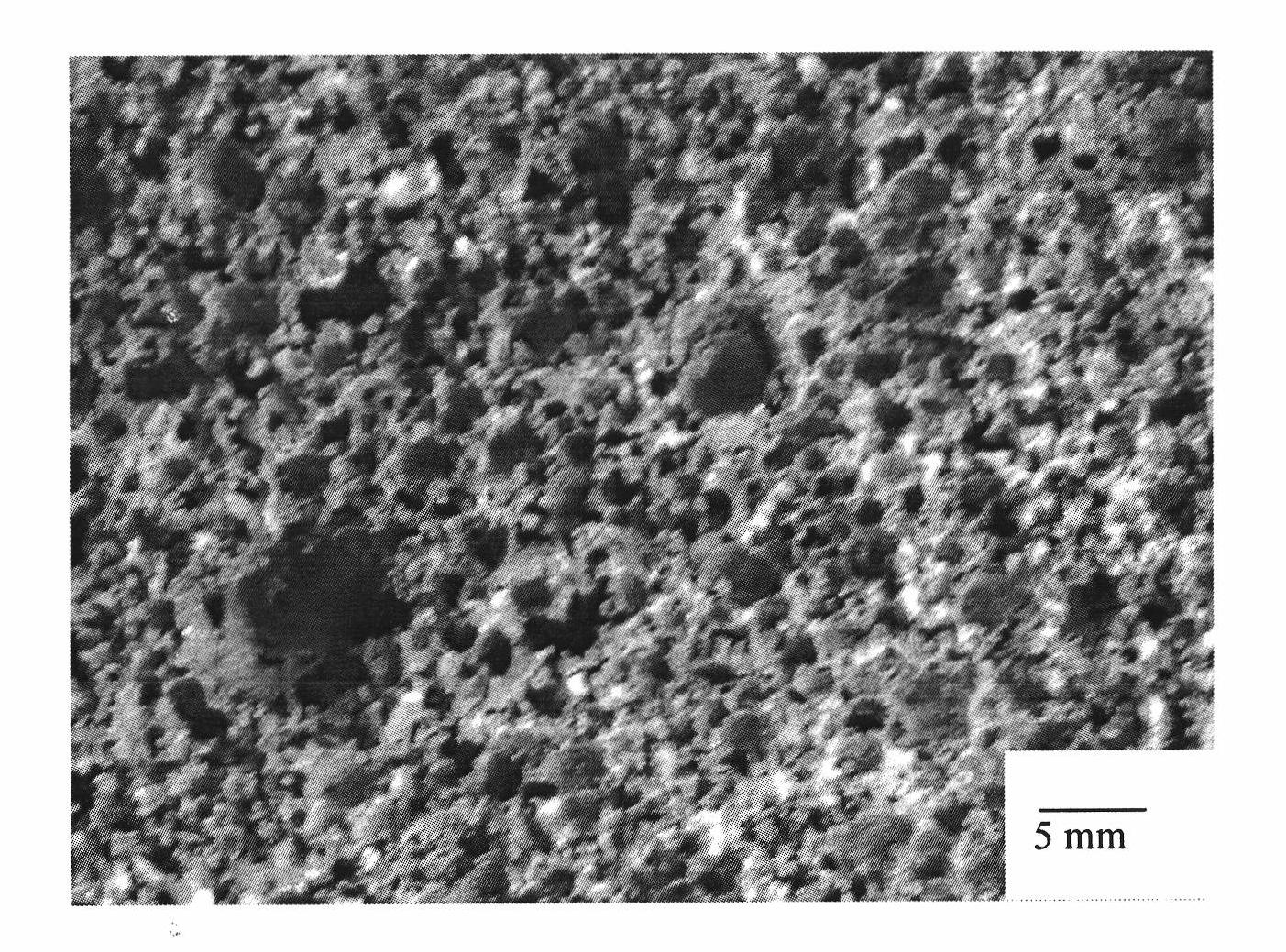 Preparation of foam magnesium alloy