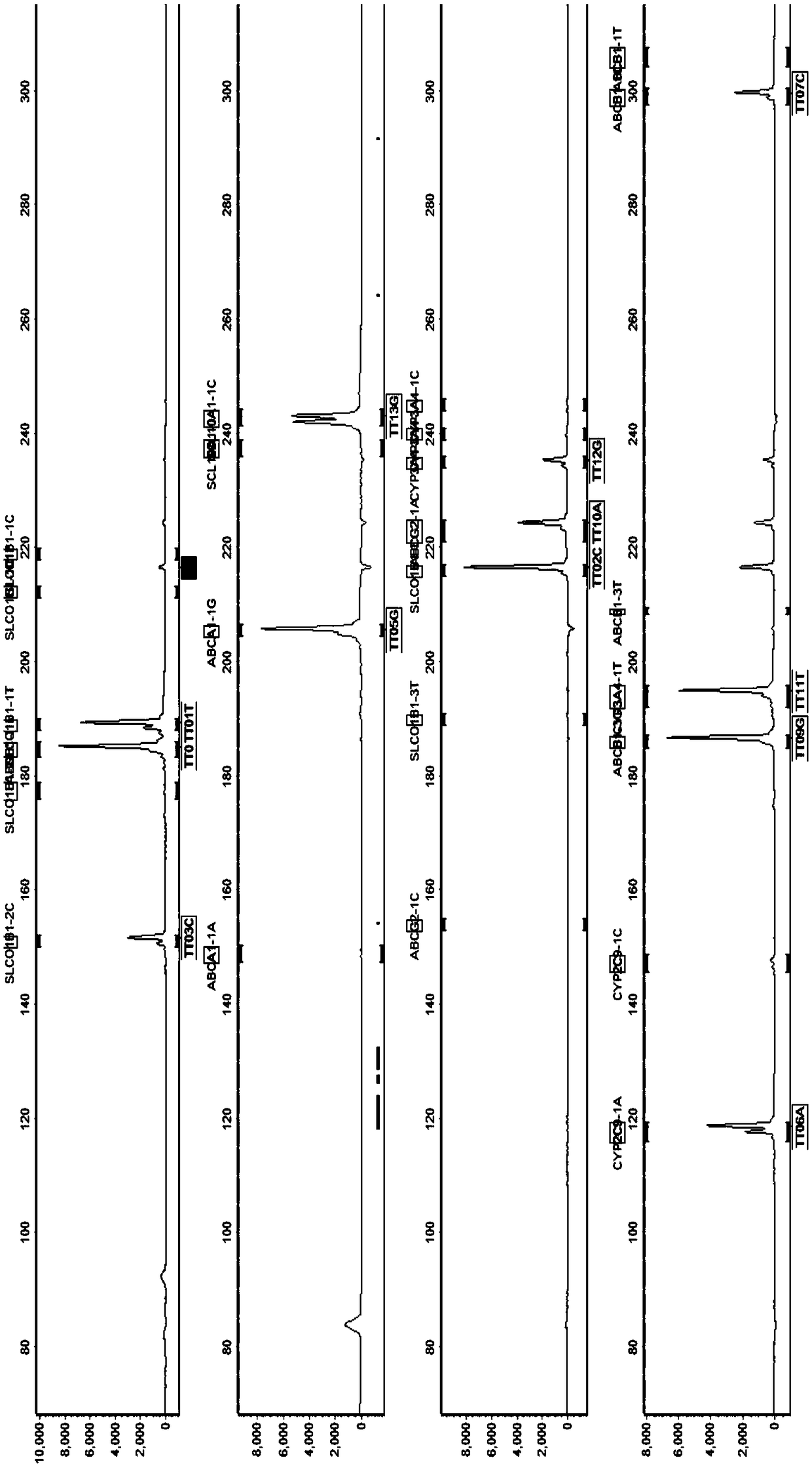 Primer set, kit and method for detecting cardiovascular disease-related gene polymorphisms