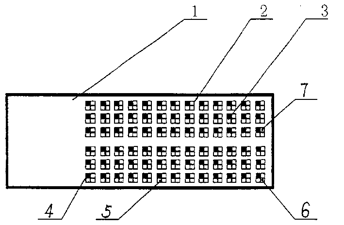 Composite chip for detecting autoimmune antibody of diabetes mellitus, and preparation and detection method thereof