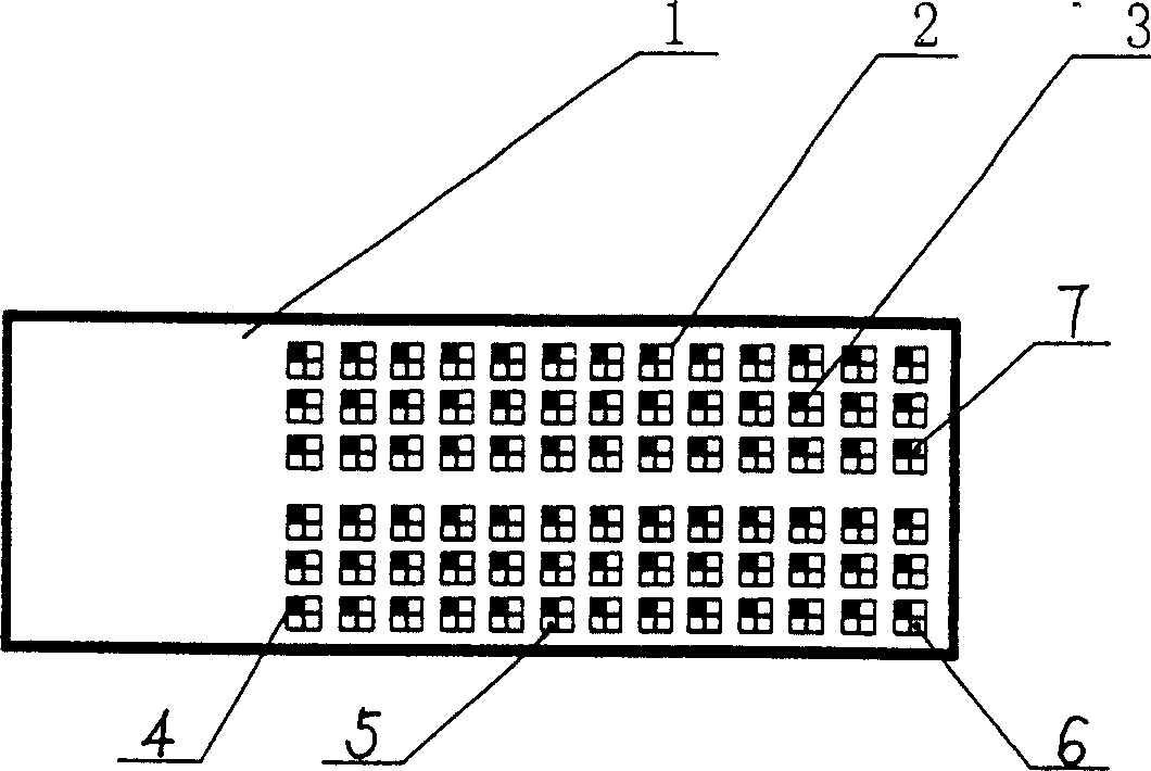 Composite chip for detecting autoimmune antibody of diabetes mellitus, and preparation and detection method thereof