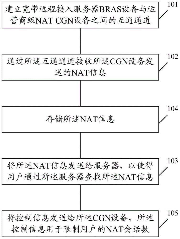 NAT information acquisition method and BRAS device