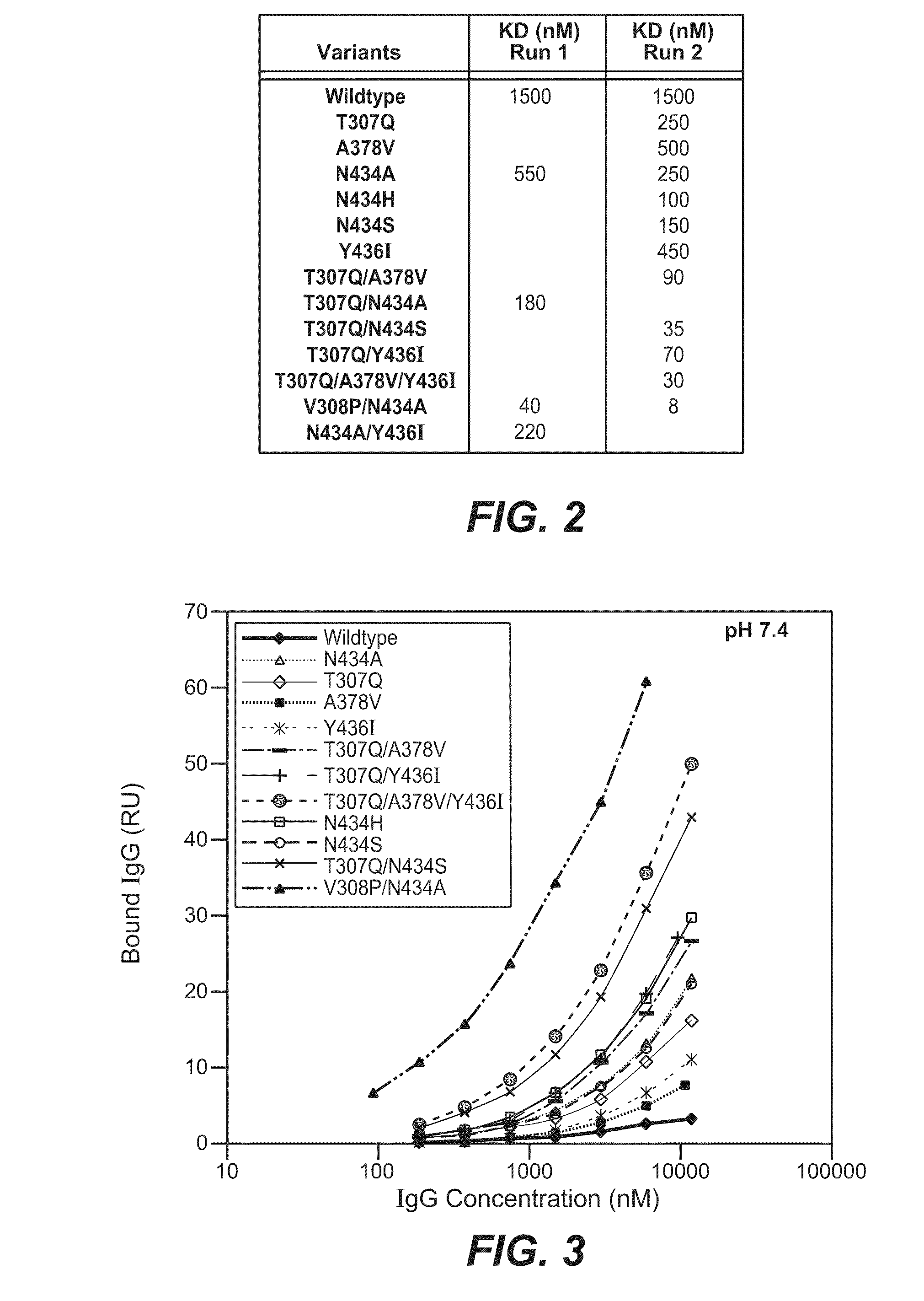 Immunoglobulin variants and uses thereof