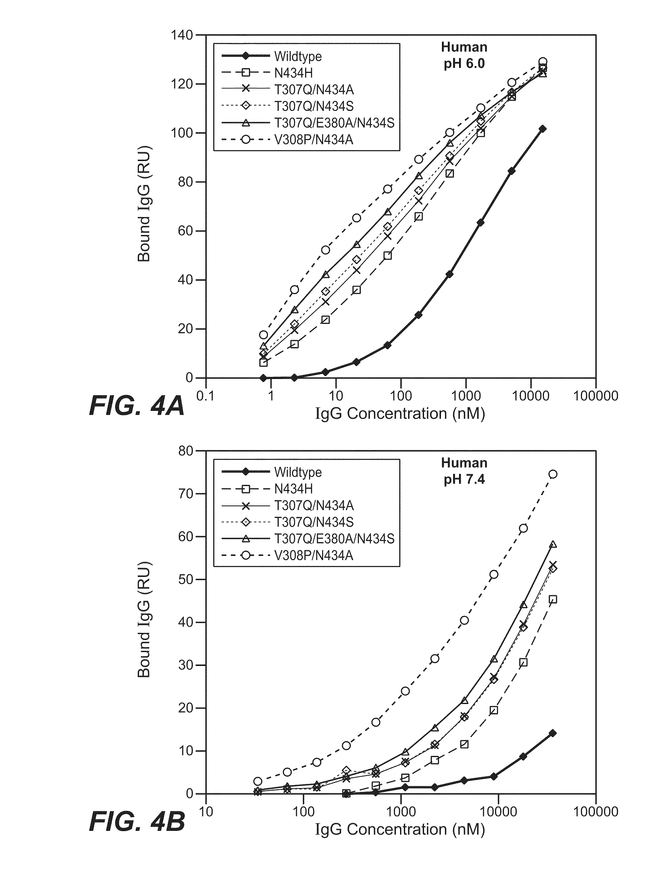 Immunoglobulin variants and uses thereof