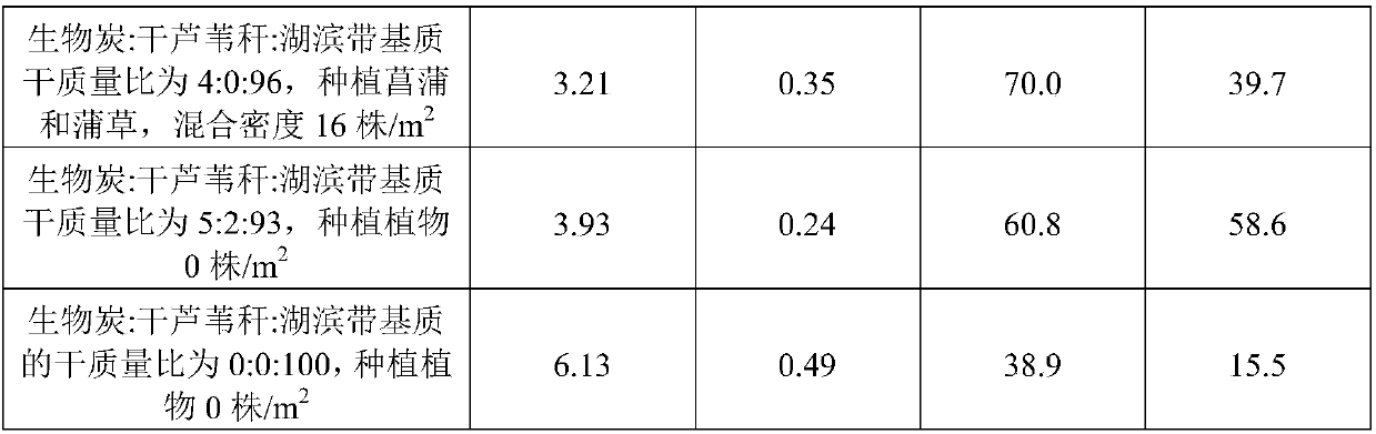 Technology for lakeside matrix to strengthen nitrogen and phosphorus removal