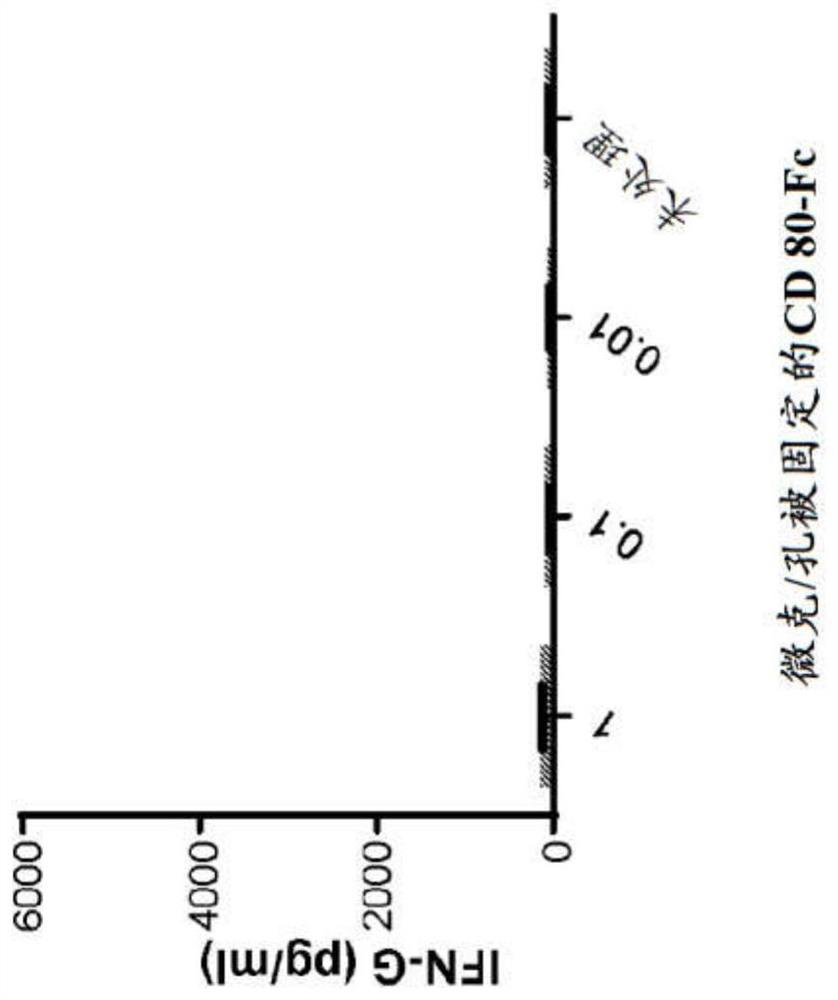 Cd80 extracellular domain fc fusion protein dosing regimens