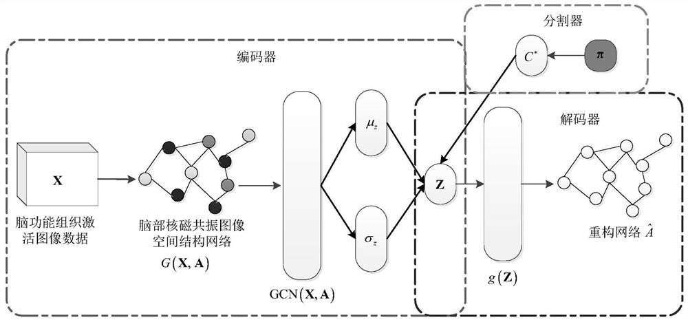 Brain nuclear magnetic resonance image segmentation method and system