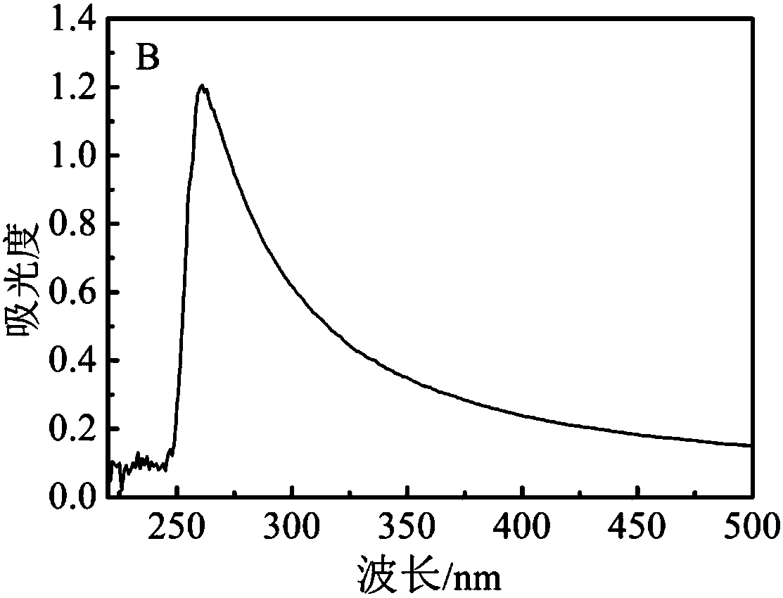 Epigallocatechin gallate-loaded folate-targeted carrier as well as preparation method and application thereof