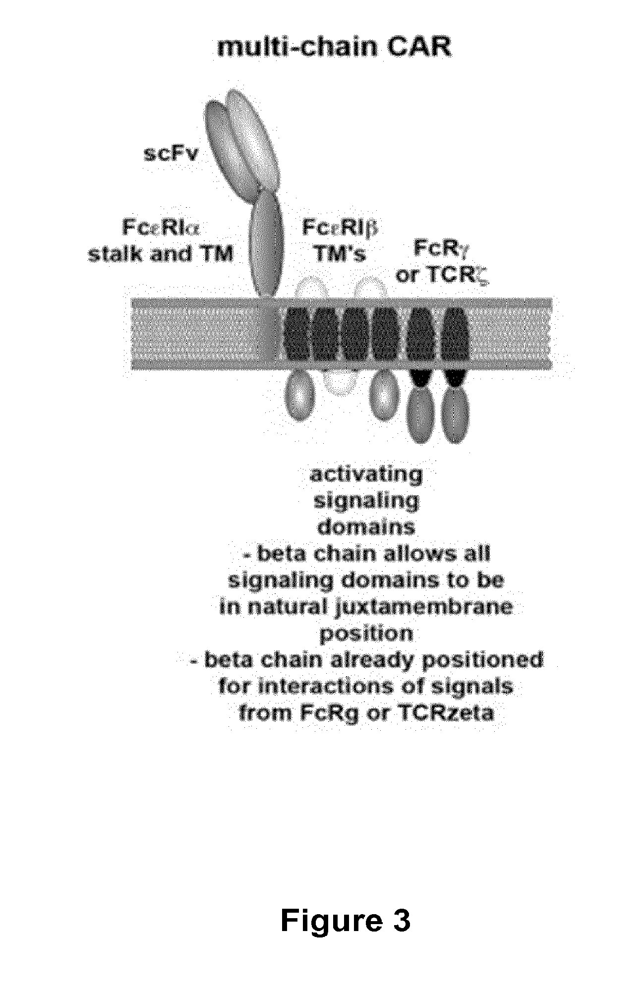 Methods for engineering t cells for immunotherapy by using rna-guided cas nuclease system