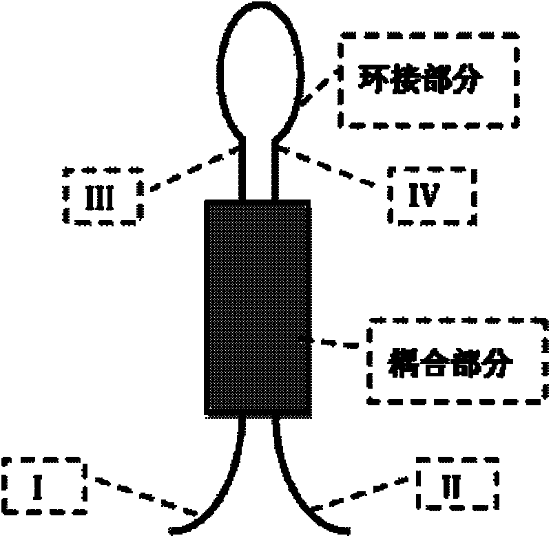 Quasi-distributed white light interference strain sensing system based on optical fiber full-spectrum reflectors with adjustable splitting ratios