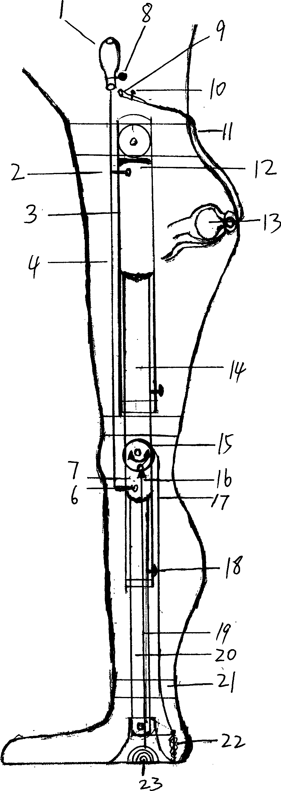 Multifunction walking-aid device