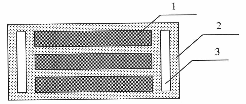 Resonant type permanent magnet linear generator