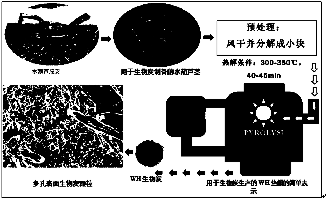 Method for improving soil water and cracks by using biochar synthesized by using water hyacinth