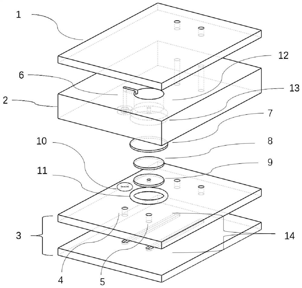 Perfusion culture chip and perfusion system