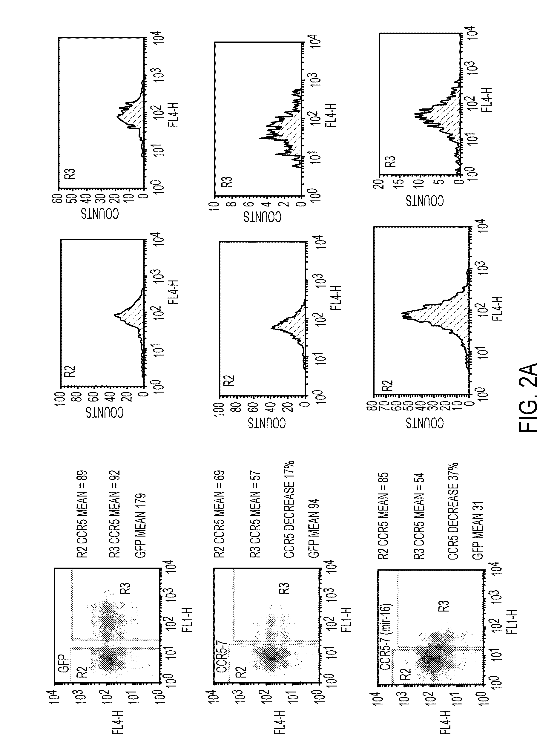 Nucleic acids for down-regulation of gene expression