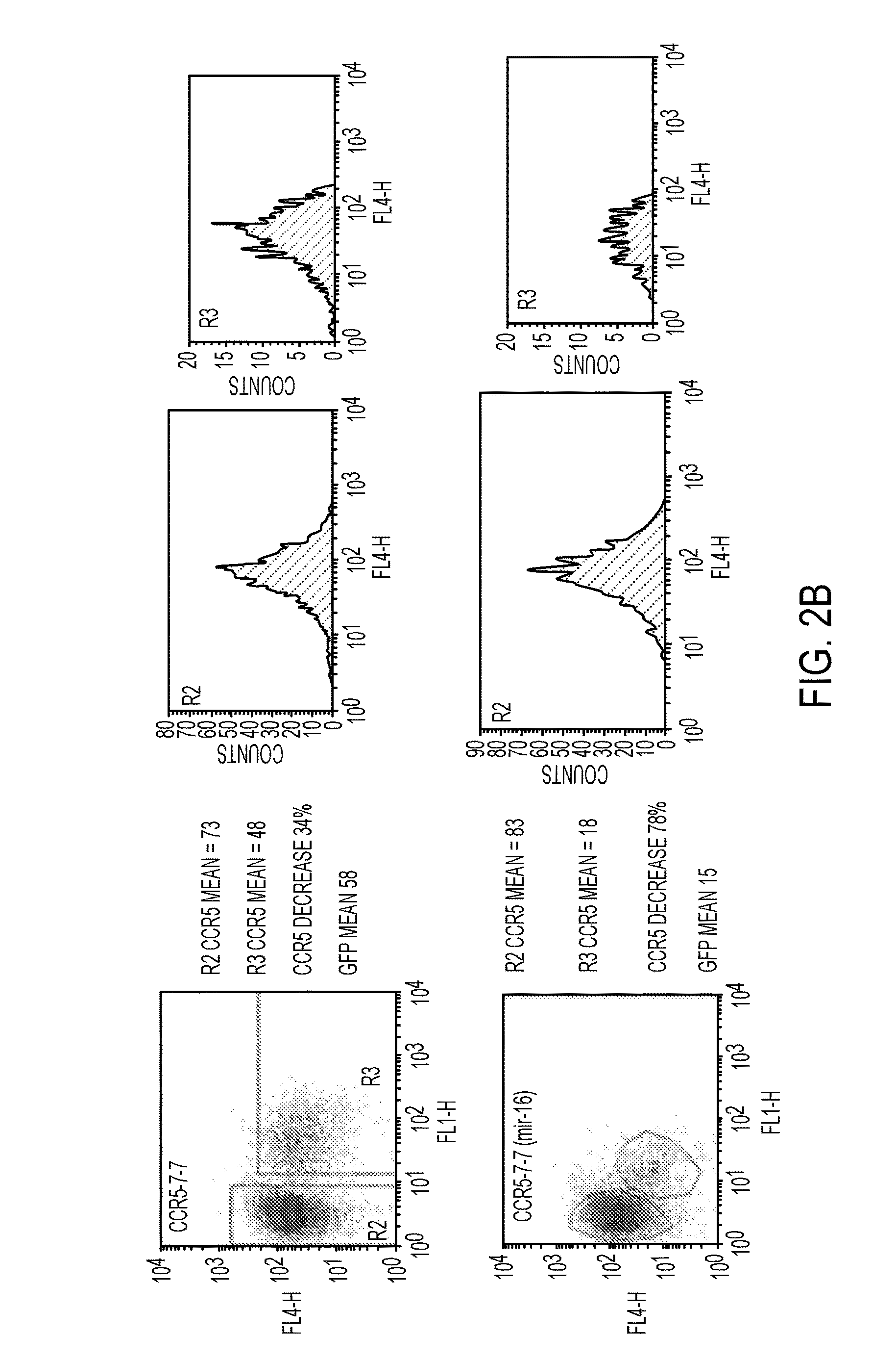 Nucleic acids for down-regulation of gene expression