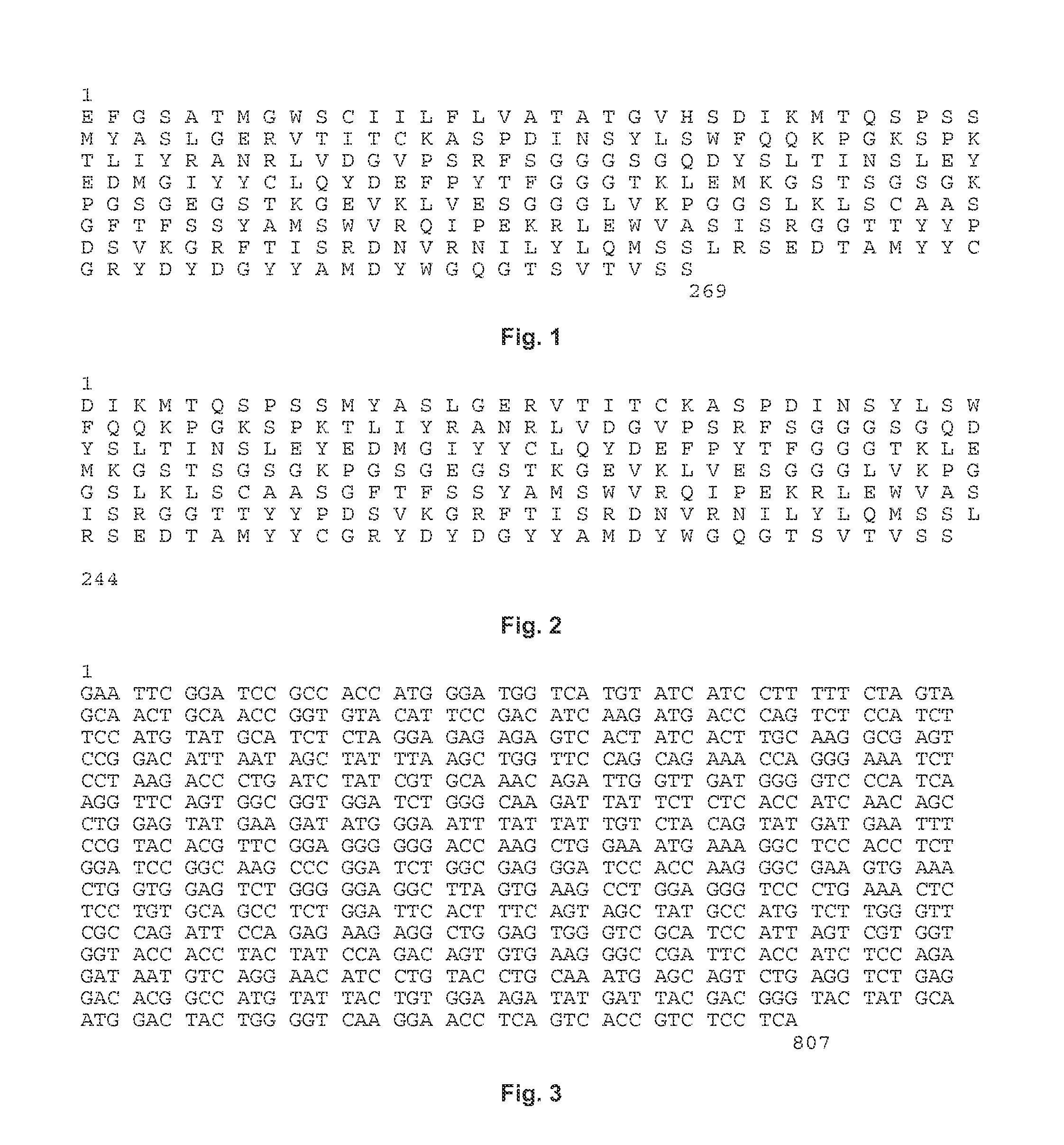 Receptor Tyrosine Kinase-Like Orphan Receptor 1 (ROR1) Single Chain FV Antibody Fragment Conjugates and Methods of Use Thereof