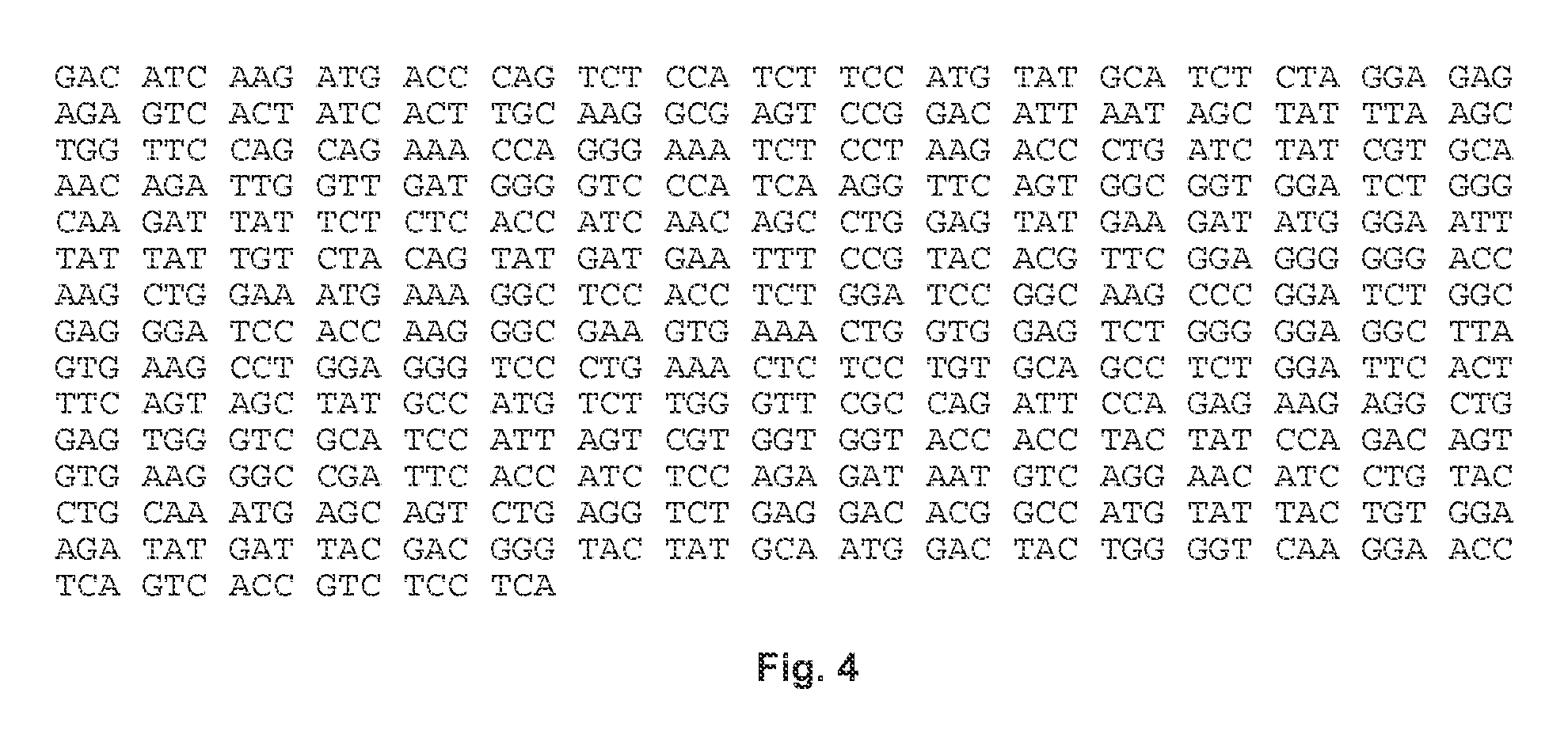 Receptor Tyrosine Kinase-Like Orphan Receptor 1 (ROR1) Single Chain FV Antibody Fragment Conjugates and Methods of Use Thereof