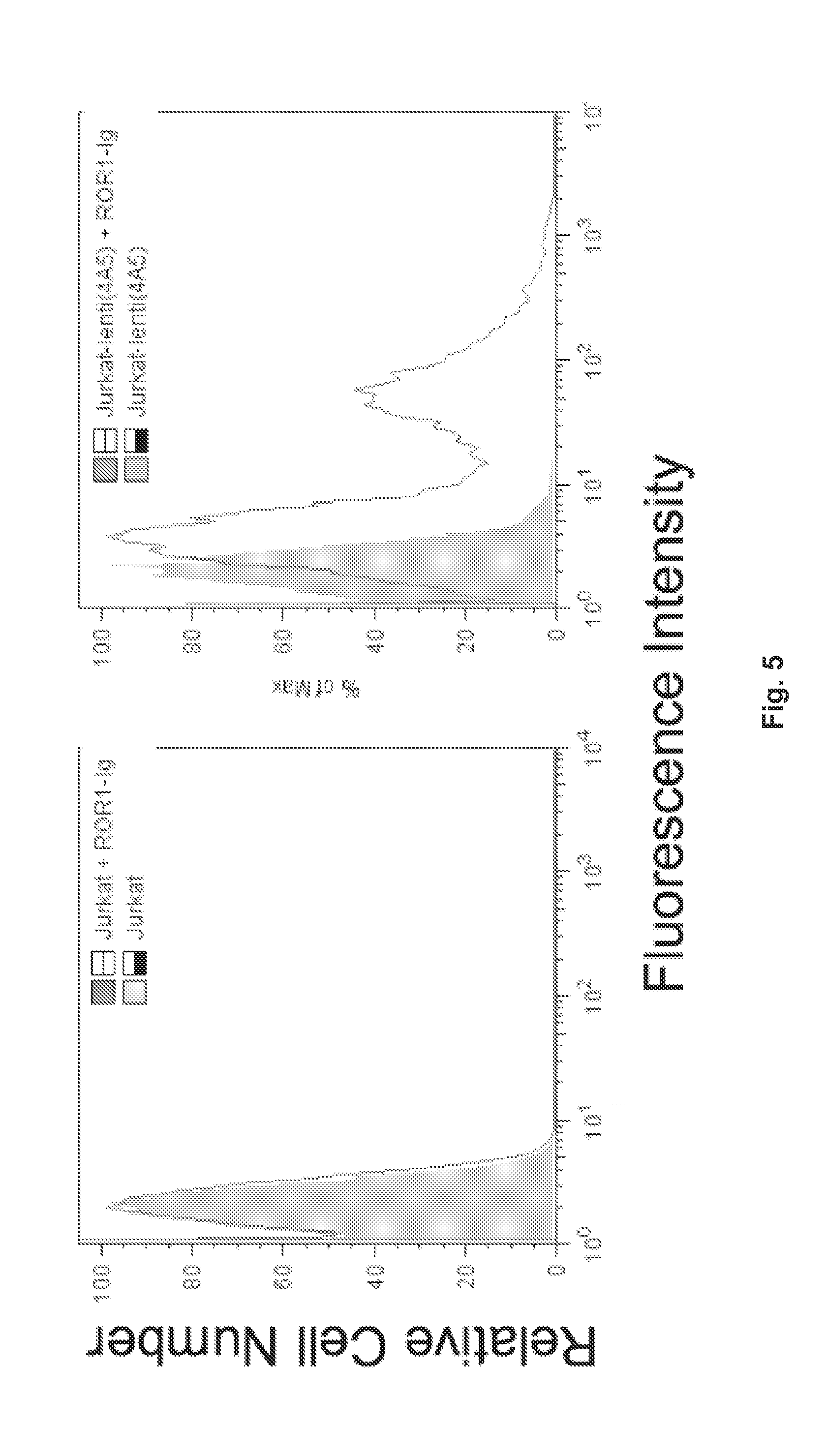 Receptor Tyrosine Kinase-Like Orphan Receptor 1 (ROR1) Single Chain FV Antibody Fragment Conjugates and Methods of Use Thereof