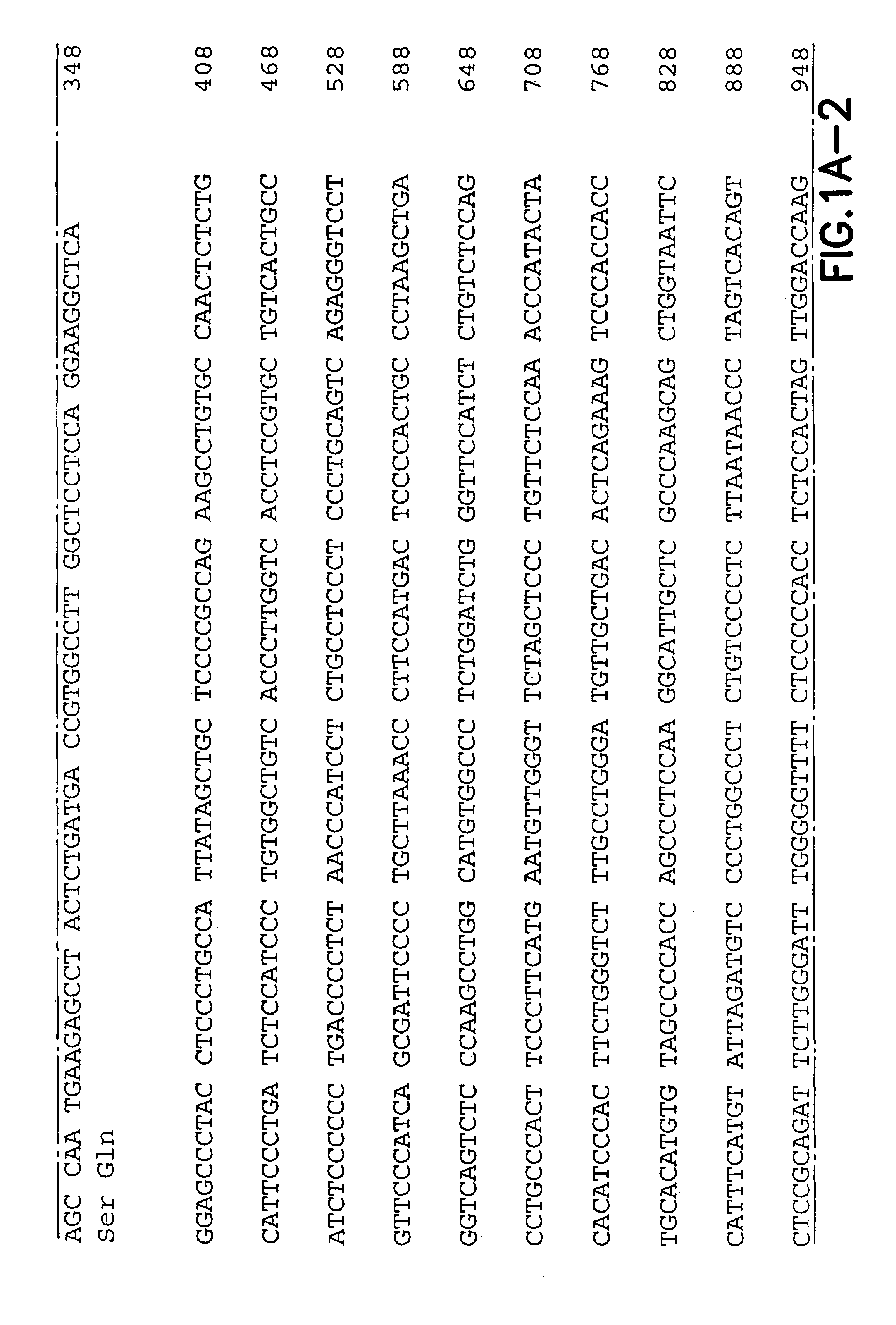 Immuno-modulating effects of chemokines in DNA vaccination