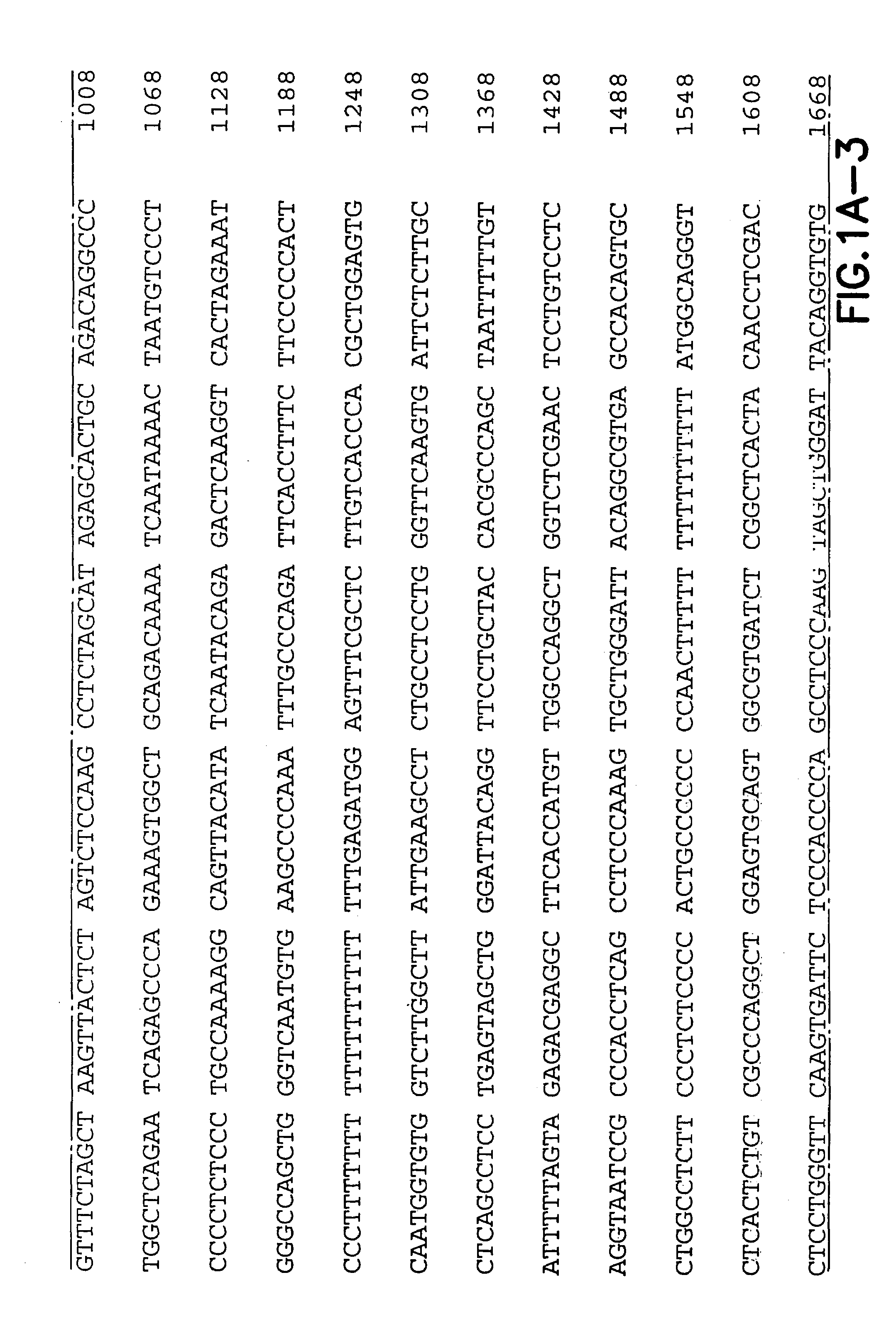 Immuno-modulating effects of chemokines in DNA vaccination